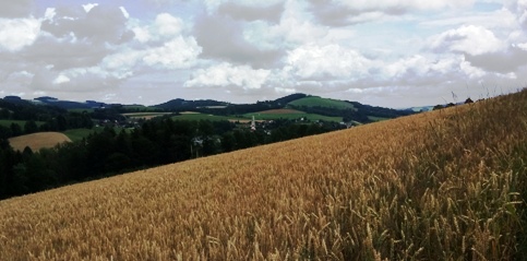 Bucklige Welt