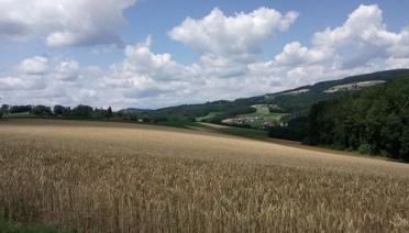 Bucklige Welt