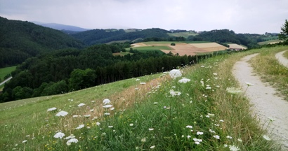Bucklige Welt