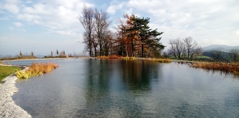 Bucklige Welt