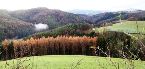 Bucklige Welt