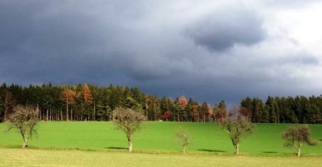 Bucklige Welt
