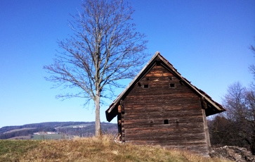 Bucklige Welt