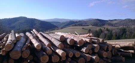 Bucklige Welt