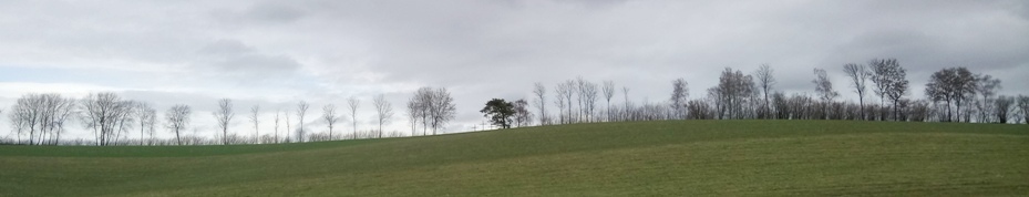 Bucklige Welt