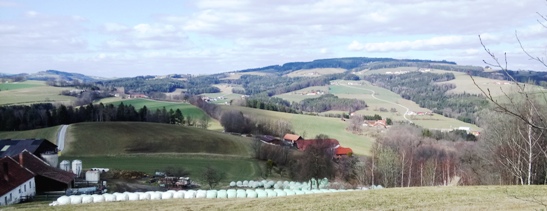 Bucklige Welt