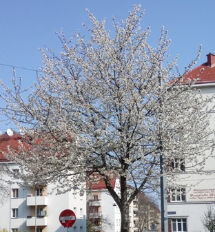Favoriten