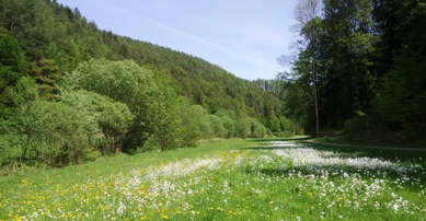 Bucklige Welt