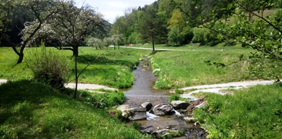 Bucklige Welt