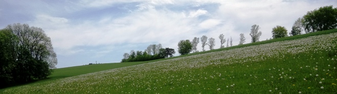 Bucklige Welt