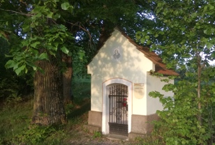 Bucklige Welt
