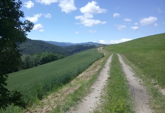 Bucklige Welt