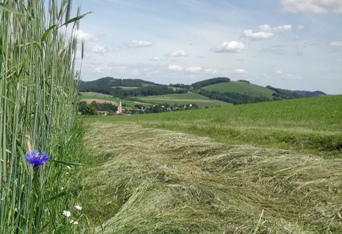 Bucklige Welt
