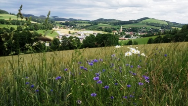Bucklige Welt
