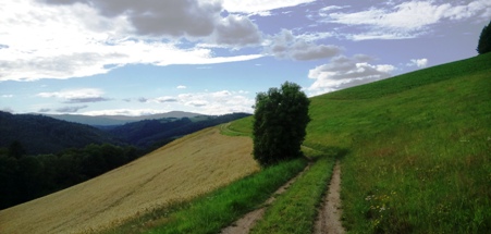 Bucklige Welt