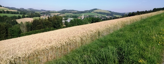 Bucklige Welt