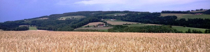 Bucklige Welt