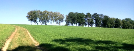 Bucklige Welt