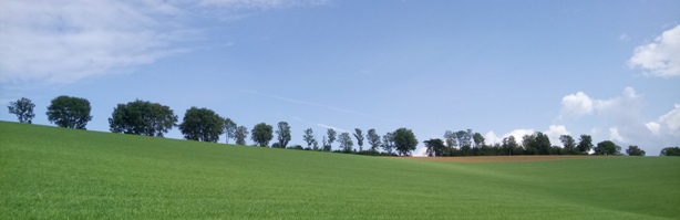 Bucklige Welt