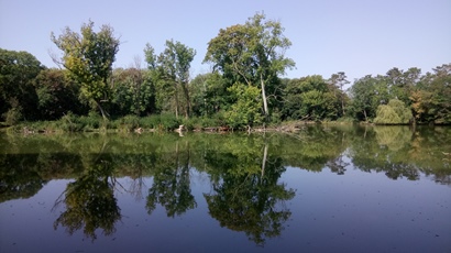 Pionierteich