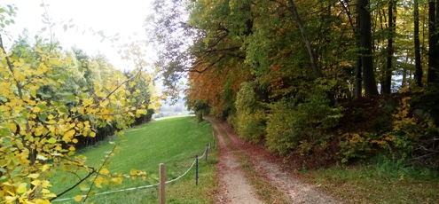 Bucklige Welt
