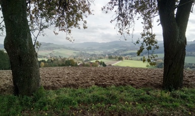 Bucklige Welt