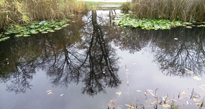 Stadtpark, Wr.Neustadt