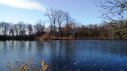 Pionierteich