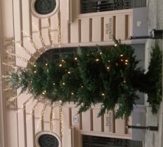 Wien City