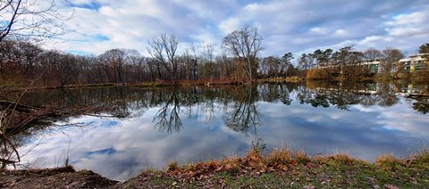 Pionierteich
