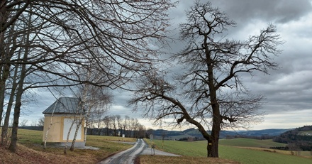 Bucklige Welt
