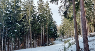 Bucklige Welt