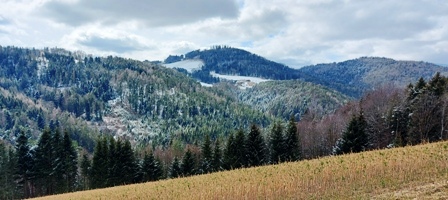 Bucklige Welt