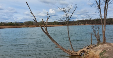 Wienerbergsee