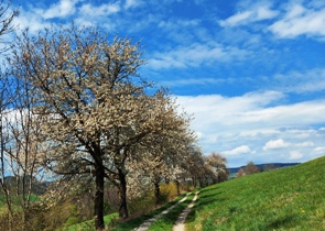 Bucklige Welt