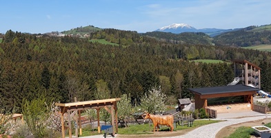 Bucklige Welt