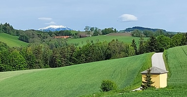 Bucklige Welt