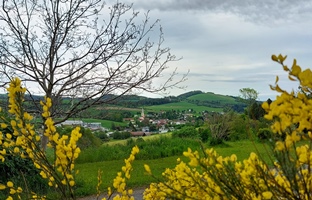 Bucklige Welt