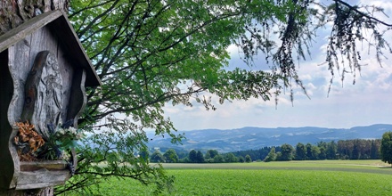 Bucklige Welt