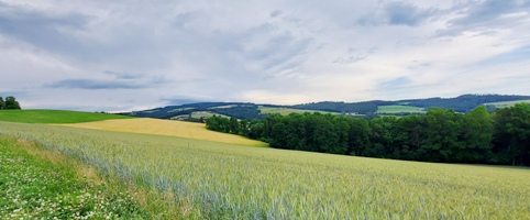 Bucklige Welt