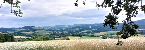 Bucklige Welt