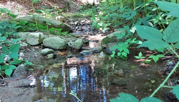 Bucklige Welt