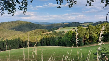 Bucklige Welt