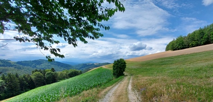 Bucklige Welt