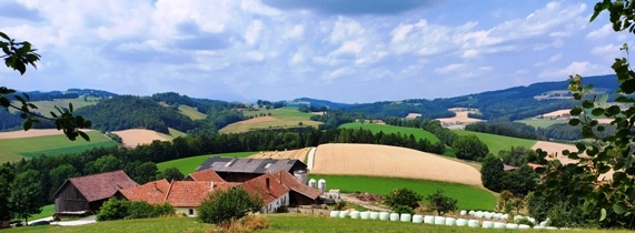 Bucklige Welt