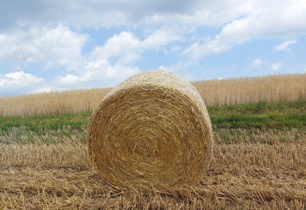Bucklige Welt