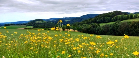 Bucklige Welt