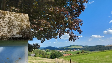Bucklige Welt