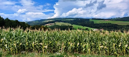 Bucklige Welt