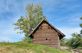 Bucklige Welt